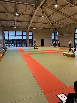 061003　エンジョイスポーツ　器械体操05